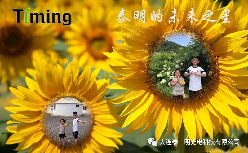 雜糧色選機