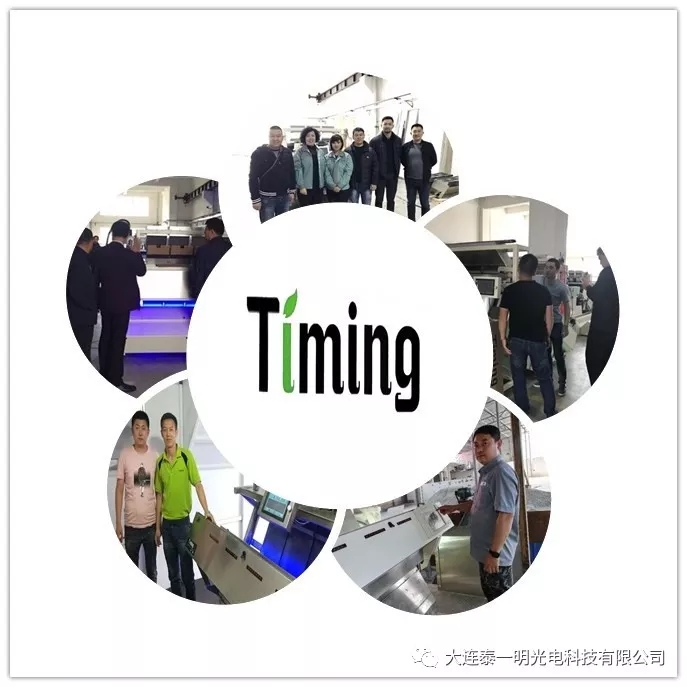雜糧色選機