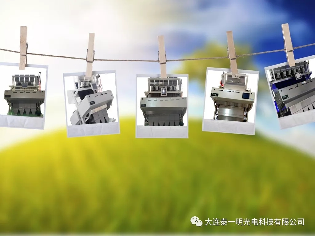 雜糧色選機