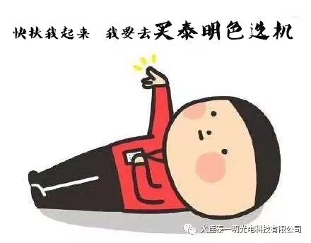 泰明色選機