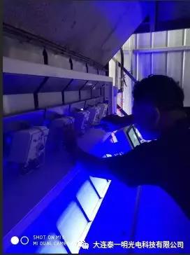 韓國大米色選機