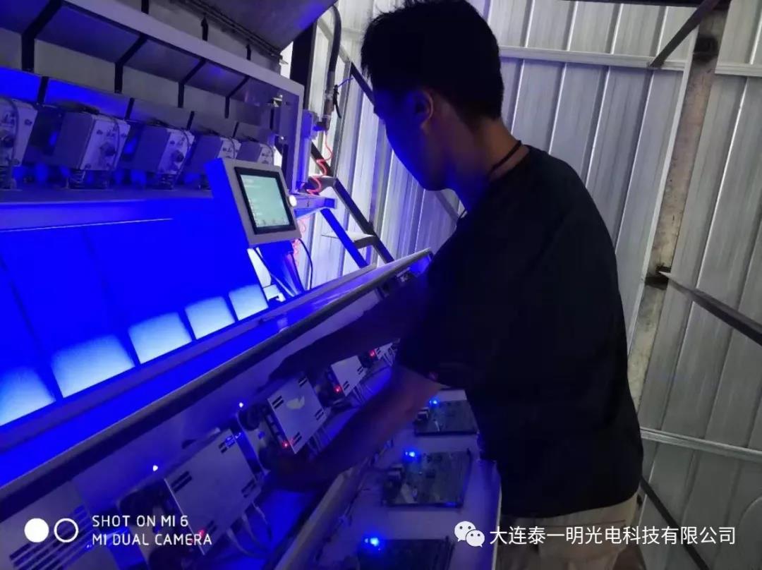 韓國大米色選機