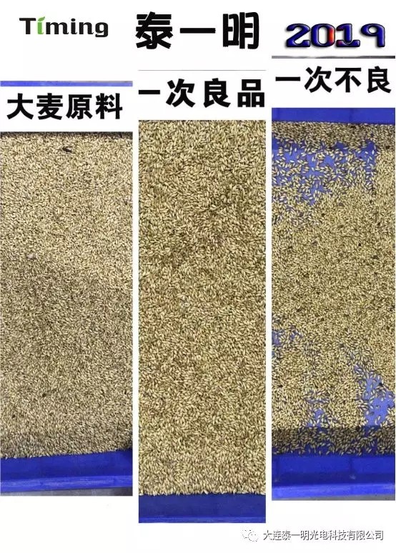 大麥色選機